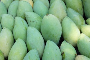 yakın çekim ve desen taze organik Barakuda Mango, Nam Dok Mai, Altın Mango, Sarı Mango (Mangifera indica Linn). Mango meyvesi. Tayland 'da tropik meyve