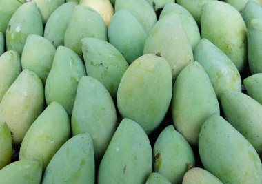 yakın çekim ve desen taze organik Barakuda Mango, Nam Dok Mai, Altın Mango, Sarı Mango (Mangifera indica Linn). Mango meyvesi. Tayland 'da tropik meyve