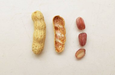 Organik fıstık, kabuklu ve haşlanmış fıstık, amendoim cozido, serpe, nordeste, Brazil (Arachis hipogaea L.) beyaz bir sırt deliğinde izole edilir.