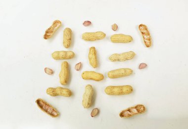 Organik fıstık, kabuklu ve haşlanmış fıstık, amendoim cozido, serpe, nordeste, Brazil (Arachis hipogaea L.) beyaz bir sırt deliğinde izole edilir.