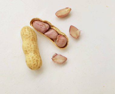 Organik fıstık, kabuklu ve haşlanmış fıstık, amendoim cozido, serpe, nordeste, Brazil (Arachis hipogaea L.) beyaz bir sırt deliğinde izole edilir.