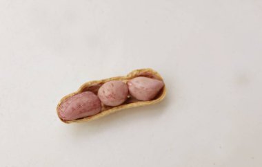 Organik fıstık, kabuklu ve haşlanmış fıstık, amendoim cozido, serpe, nordeste, Brazil (Arachis hipogaea L.) beyaz bir sırt deliğinde izole edilir.