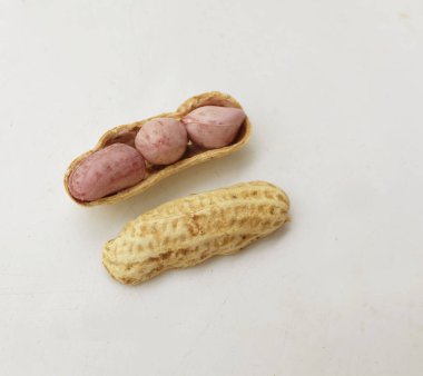 Organik fıstık, kabuklu ve haşlanmış fıstık, amendoim cozido, serpe, nordeste, Brazil (Arachis hipogaea L.) beyaz bir sırt deliğinde izole edilir.