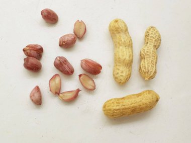 Organik fıstık, kabuklu ve haşlanmış fıstık, amendoim cozido, serpe, nordeste, Brazil (Arachis hipogaea L.) beyaz bir sırt deliğinde izole edilir.