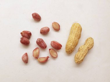 Organik fıstık, kabuklu ve haşlanmış fıstık, amendoim cozido, serpe, nordeste, Brazil (Arachis hipogaea L.) beyaz bir sırt deliğinde izole edilir.