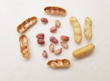 Organik fıstık, kabuklu ve haşlanmış fıstık, amendoim cozido, serpe, nordeste, Brazil (Arachis hipogaea L.) beyaz bir sırt deliğinde izole edilir.