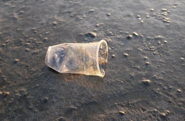 Çöp kutusunu kapatıyoruz kumlu sahilde kullanılmış plastik bardak bardağı. Çevre kirliliği, Dünya günü, ekolojik sorunlar, gezegeni korumak, doğa koruma, deniz kirliliği.