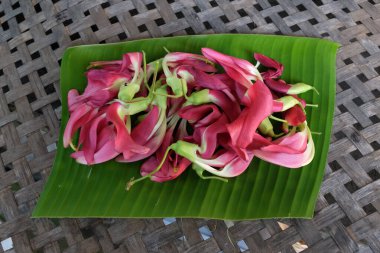 Güzel kırmızı çiçeklerden oluşan üst manzara grubu taze organik (sesbania grandiflora), sinekkuşu, sesban, flamingo gagalı ağaç yeşil muz yaprakları üzerinde izole edilmiş küçük bir bacaklı ağaçtır.