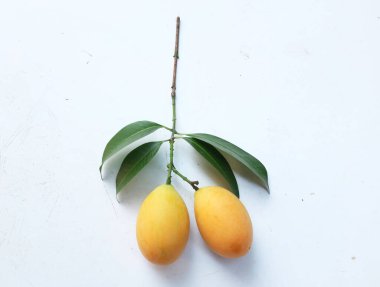 Beyaz bir arka planda izole edilmiş taze taze taze tatlı Marian eriği dalları (mayongchid maprang marian eriği ve erik mangosu, thailand). Tayland 'ın sağlıklı meyveleri