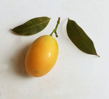 Beyaz bir arka planda izole edilmiş taze taze taze tatlı Marian eriği dalları (mayongchid maprang marian eriği ve erik mangosu, thailand). Tayland 'ın sağlıklı meyveleri