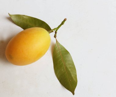 Beyaz bir arka planda izole edilmiş taze taze taze tatlı Marian eriği dalları (mayongchid maprang marian eriği ve erik mangosu, thailand). Tayland 'ın sağlıklı meyveleri