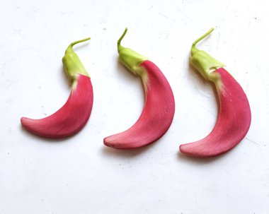  güzel kırmızı çiçekler taze organik (sesbania grandiflora), sinekkuşu, sesban, flamingo gagalı ağaç beyaz bir zemin üzerinde bulunan küçük bir bacaksız ağaçtır.