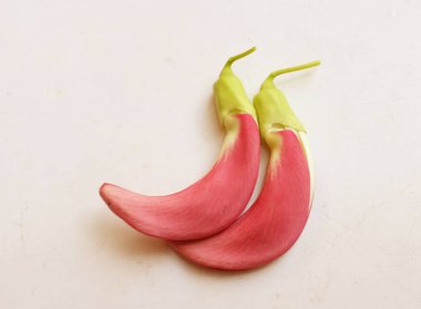  güzel kırmızı çiçekler taze organik (sesbania grandiflora), sinekkuşu, sesban, flamingo gagalı ağaç beyaz bir zemin üzerinde bulunan küçük bir bacaksız ağaçtır.