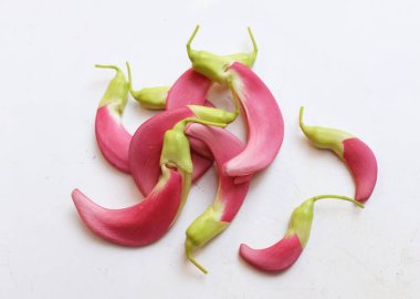  güzel kırmızı çiçekler taze organik (sesbania grandiflora), sinekkuşu, sesban, flamingo gagalı ağaç beyaz bir zemin üzerinde bulunan küçük bir bacaksız ağaçtır.