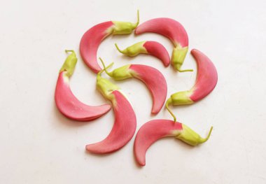  güzel kırmızı çiçekler taze organik (sesbania grandiflora), sinekkuşu, sesban, flamingo gagalı ağaç beyaz bir zemin üzerinde bulunan küçük bir bacaksız ağaçtır.