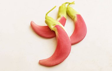  güzel kırmızı çiçekler taze organik (sesbania grandiflora), sinekkuşu, sesban, flamingo gagalı ağaç beyaz bir zemin üzerinde bulunan küçük bir bacaksız ağaçtır.