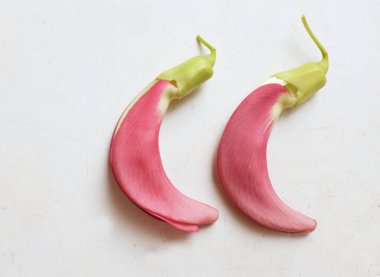 güzel kırmızı çiçekler taze organik (sesbania grandiflora), sinekkuşu, sesban, flamingo gagalı ağaç beyaz bir zemin üzerinde bulunan küçük bir bacaksız ağaçtır.