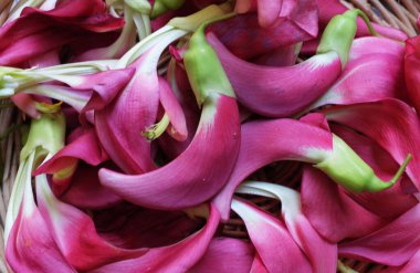 Çok güzel kırmızı bir çiçek grubunun üst görüntüsü taze organik (sesbania grandiflora), sinekkuşu, sesban, flamingo gagalı ağaç bambu bir örgü üzerine izole edilmiş küçük bir bacaklı ağaçtır.