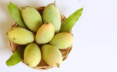 Taze çiğ yeşil mango, sarı mango, altın Vietnam dok mai mango, barakuda mango (mangifera indica) meyvelerin kralı Asyalı bir kadının ellerinde.