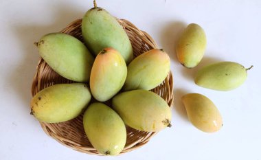 Taze çiğ yeşil mango, sarı mango, altın Vietnam dok mai mango, barakuda mango (mangifera indica) meyvelerin kralı Asyalı bir kadının ellerinde.
