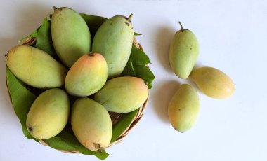 Taze çiğ yeşil mango, sarı mango, altın Vietnam dok mai mango, barakuda mango (mangifera indica) meyvelerin kralı Asyalı bir kadının ellerinde.