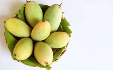 Taze çiğ yeşil mango, sarı mango, altın Vietnam dok mai mango, barakuda mango (mangifera indica) meyvelerin kralı Asyalı bir kadının ellerinde.