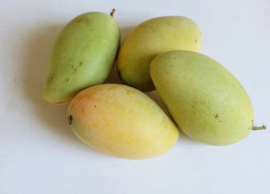 Taze çiğ yeşil mango, sarı mango, altın Vietnam dok mai mango, barakuda mango (mangifera indica) meyvelerin kralı Asyalı bir kadının ellerinde.