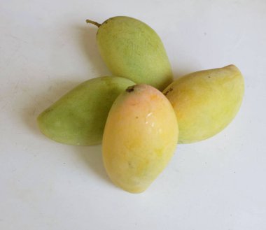 taze sarı olgun organik mango altın, mango nam dok mai mango, barakuda mango, (Mangifera indica Linn) meyve kralı .tropikal egzotik meyve ve sağlıklı meyve