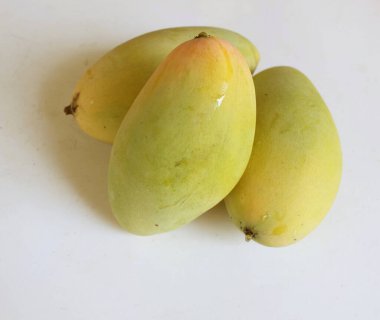 taze sarı olgun organik mango altın, mango nam dok mai mango, barakuda mango, (Mangifera indica Linn) meyve kralı .tropikal egzotik meyve ve sağlıklı meyve
