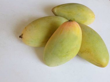 taze sarı olgun organik mango altın, mango nam dok mai mango, barakuda mango, (Mangifera indica Linn) meyve kralı .tropikal egzotik meyve ve sağlıklı meyve