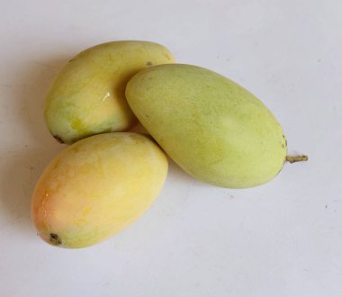 taze sarı olgun organik mango altın, mango nam dok mai mango, barakuda mango, (Mangifera indica Linn) meyve kralı .tropikal egzotik meyve ve sağlıklı meyve