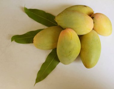 taze sarı olgun organik mango altın, mango nam dok mai mango, barakuda mango, (Mangifera indica Linn) meyve kralı .tropikal egzotik meyve ve sağlıklı meyve