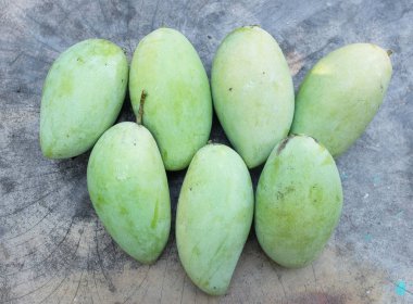 taze çiğ organik mango altın, mango nam dok mai mango, barakuda mango, (Mangifera indica Linn) tahta tahtada yaprak izole edilmiş meyve kralı. Tropikal egzotik meyve ve sağlıklı meyve