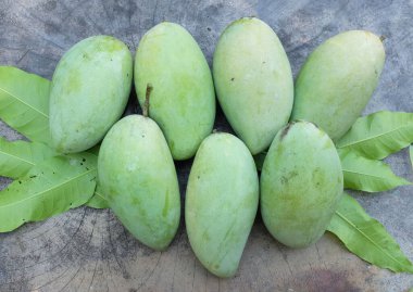 taze çiğ organik mango altın, mango nam dok mai mango, barakuda mango, (Mangifera indica Linn) tahta tahtada yaprak izole edilmiş meyve kralı. Tropikal egzotik meyve ve sağlıklı meyve