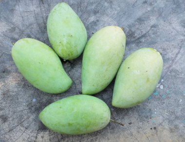 taze çiğ organik mango altın, mango nam dok mai mango, barakuda mango, (Mangifera indica Linn) tahta tahtada yaprak izole edilmiş meyve kralı. Tropikal egzotik meyve ve sağlıklı meyve