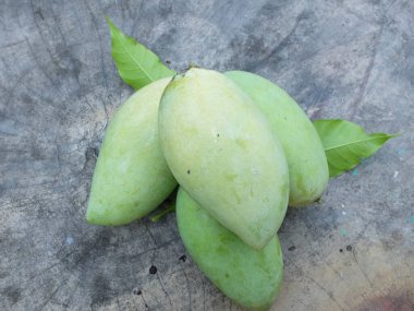 taze çiğ organik mango altın, mango nam dok mai mango, barakuda mango, (Mangifera indica Linn) tahta tahtada yaprak izole edilmiş meyve kralı. Tropikal egzotik meyve ve sağlıklı meyve