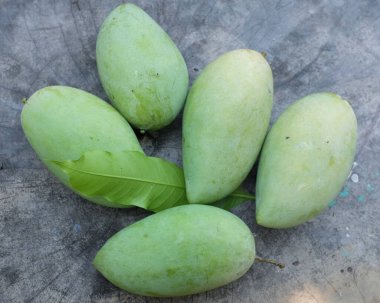 taze çiğ organik mango altın, mango nam dok mai mango, barakuda mango, (Mangifera indica Linn) tahta tahtada yaprak izole edilmiş meyve kralı. Tropikal egzotik meyve ve sağlıklı meyve