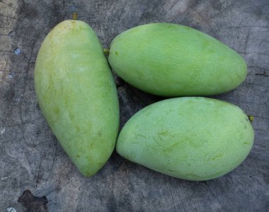 taze çiğ organik mango altın, mango nam dok mai mango, barakuda mango, (Mangifera indica Linn) tahta tahtada yaprak izole edilmiş meyve kralı. Tropikal egzotik meyve ve sağlıklı meyve