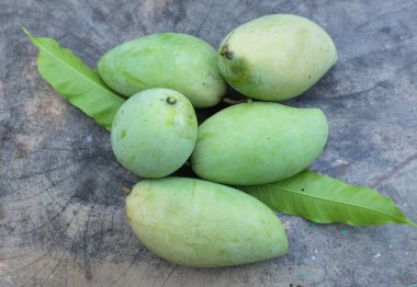 taze çiğ organik mango altın, mango nam dok mai mango, barakuda mango, (Mangifera indica Linn) tahta tahtada yaprak izole edilmiş meyve kralı. Tropikal egzotik meyve ve sağlıklı meyve