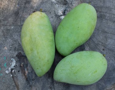 taze çiğ organik mango altın, mango nam dok mai mango, barakuda mango, (Mangifera indica Linn) tahta tahtada yaprak izole edilmiş meyve kralı. Tropikal egzotik meyve ve sağlıklı meyve