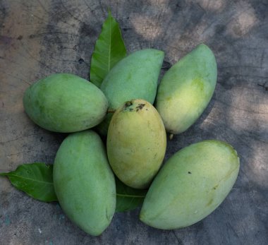 taze çiğ organik mango altın, mango nam dok mai mango, barakuda mango, (Mangifera indica Linn) tahta tahtada yaprak izole edilmiş meyve kralı. Tropikal egzotik meyve ve sağlıklı meyve