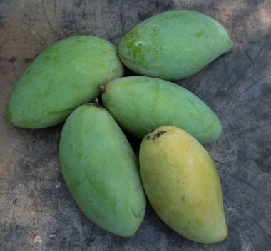 taze çiğ organik mango altın, mango nam dok mai mango, barakuda mango, (Mangifera indica Linn) tahta tahtada yaprak izole edilmiş meyve kralı. Tropikal egzotik meyve ve sağlıklı meyve