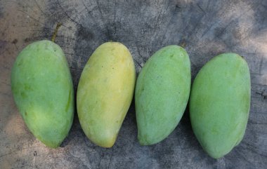 taze çiğ organik mango altın, mango nam dok mai mango, barakuda mango, (Mangifera indica Linn) tahta tahtada yaprak izole edilmiş meyve kralı. Tropikal egzotik meyve ve sağlıklı meyve