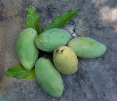 taze çiğ organik mango altın, mango nam dok mai mango, barakuda mango, (Mangifera indica Linn) tahta tahtada yaprak izole edilmiş meyve kralı. Tropikal egzotik meyve ve sağlıklı meyve