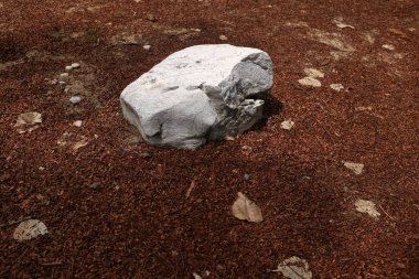 Dekoratif büyük beyaz kayalıkları kapatın, bahçedeki taşları farklı kahverengi yaprak bitkilerinin arasına, bahçenin arka bahçesine ya da parklardaki, kafelerdeki, restoranlardaki, şelalelerdeki süslemelere.