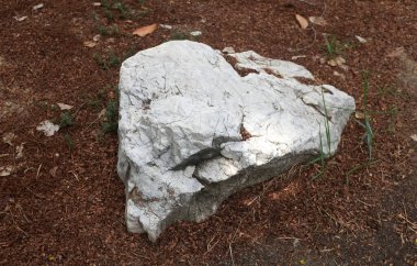 Dekoratif büyük beyaz kayalıkları kapatın, bahçedeki taşları farklı kahverengi yaprak bitkilerinin arasına, bahçenin arka bahçesine ya da parklardaki, kafelerdeki, restoranlardaki, şelalelerdeki süslemelere.