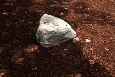 Dekoratif büyük beyaz kayalıkları kapatın, bahçedeki taşları farklı kahverengi yaprak bitkilerinin arasına, bahçenin arka bahçesine ya da parklardaki, kafelerdeki, restoranlardaki, şelalelerdeki süslemelere.