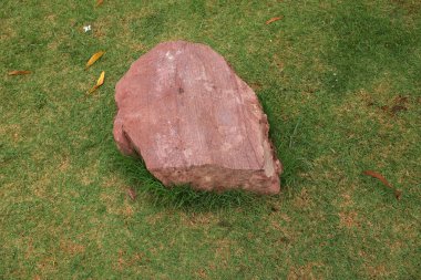 Dekoratif büyük bir kayalık, bahçedeki taş farklı yeşil bitkiler arasında, bahçenin arka bahçesi veya parklarda, kafelerde, restoranlarda, şelalelerde süsleme