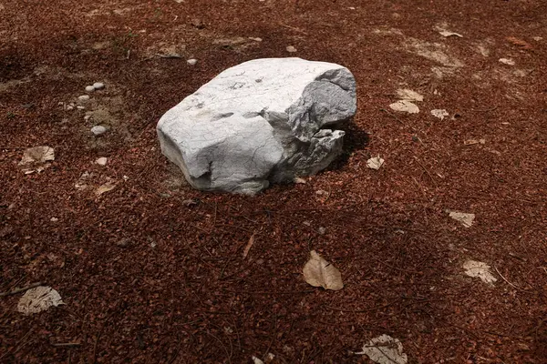 Dekoratif büyük beyaz kayalıkları kapatın, bahçedeki taşları farklı kahverengi yaprak bitkilerinin arasına, bahçenin arka bahçesine ya da parklardaki, kafelerdeki, restoranlardaki, şelalelerdeki süslemelere.