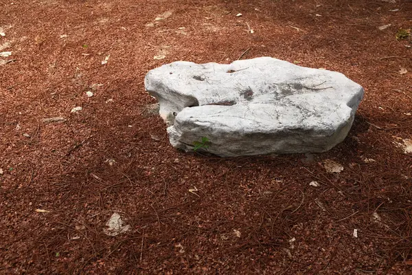 Dekoratif büyük beyaz kayalıkları kapatın, bahçedeki taşları farklı kahverengi yaprak bitkilerinin arasına, bahçenin arka bahçesine ya da parklardaki, kafelerdeki, restoranlardaki, şelalelerdeki süslemelere.